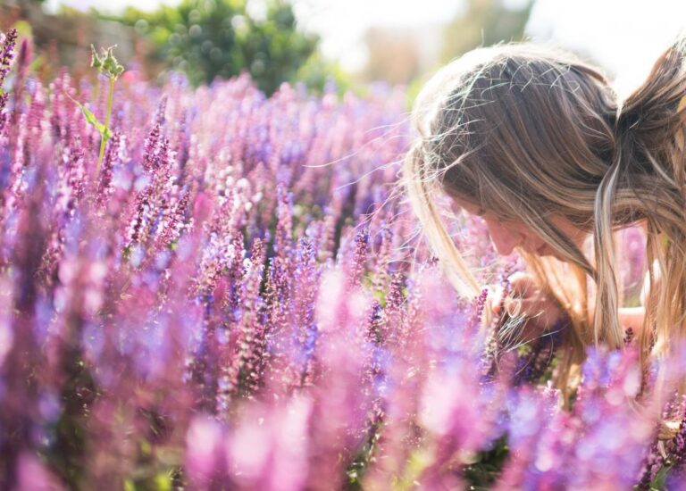 Tips for Using Lavender to Alleviate Anxiety Symptoms