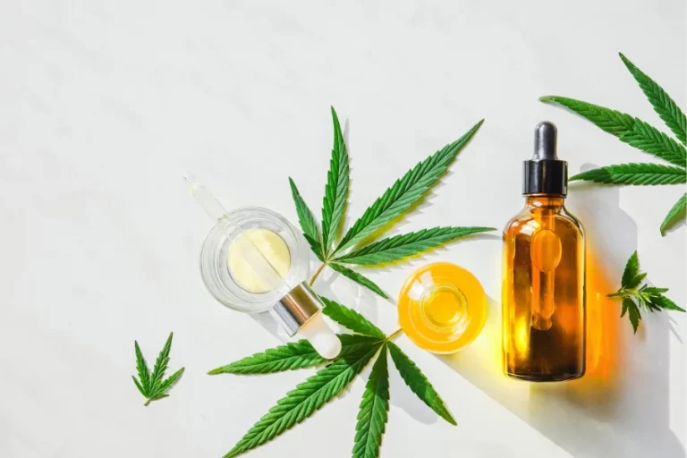 Exploring Diversity: A Look into the Various Types of CBD Products