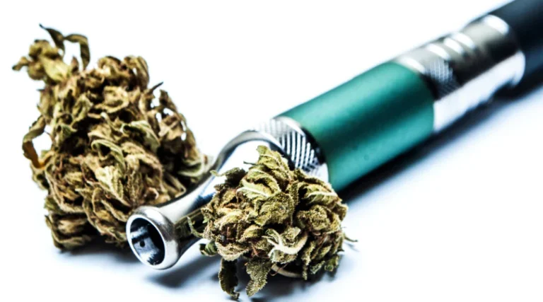 A Symphony of Taste: Discover the Universe of Various Vaping Disposable Pod Flavors